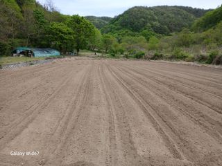 강재화님의 기타작물 · 영농일지 작성글 사진