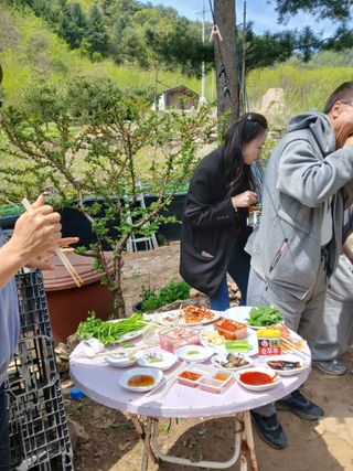 인생은 소풍처럼~님의 기타작물 · 영농일지 작성글 사진