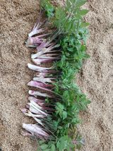 김홍중님의 작성글 사진