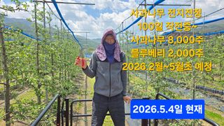 축복의땅 에덴동산님의 사과 · 영농일지 작성글 사진