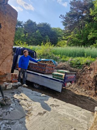 백운농원 님의 기타작물 · 영농일지 작성글 사진