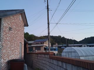 김종덕님의 두릅 · 영농일지 작성글 사진