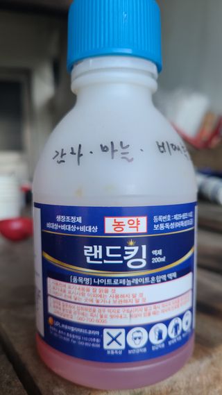 고춘석(고랑과이랑)님의 마늘 · 영농일지 작성글 사진