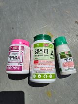 손영호님의 작성글 사진