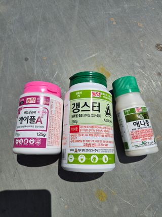 손영호님의 기타작물 · 영농일지 작성글 사진