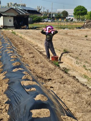 임광빈님의 기타작물 · 영농일지 작성글 사진