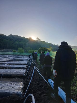 부자수박님의 기타작물 · 영농일지 작성글 사진
