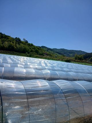 부자수박님의 기타작물 · 영농일지 작성글 사진