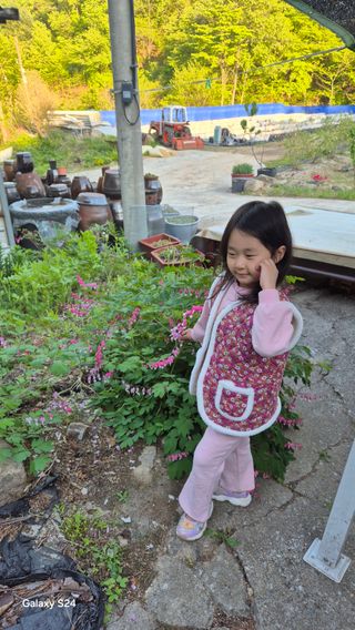곰티농사꾼님의 기타작물 · 영농일지 작성글 사진