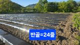 축복의땅 에덴동산님의 작성글 사진