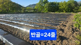 축복의땅 에덴동산님의 기타작물 · 영농일지 작성글 사진