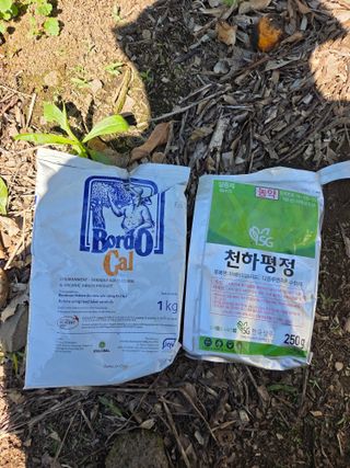 귤껍데기님의 기타작물 · 영농일지 작성글 사진