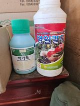 블루베리13637님의 작성글 사진