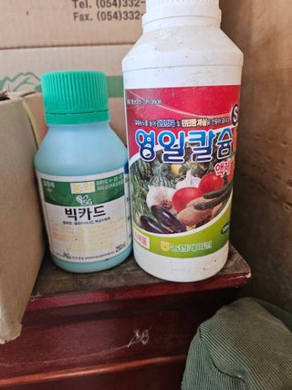블루베리13637님의 포도 · 영농일지 작성글 사진