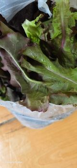 경주농장님의 작성글 사진