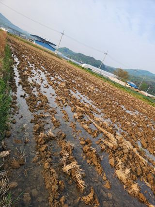 yee105님의 기타작물 · 영농일지 작성글 사진