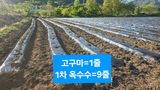 축복의땅 에덴동산님의 작성글 사진