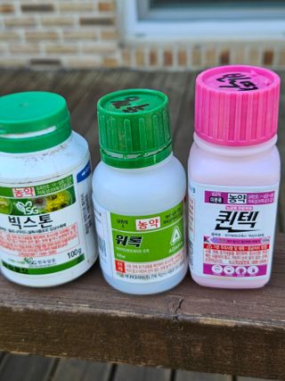 김해열님의 기타작물 · 영농일지 작성글 사진