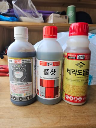 조영민님의 포도 · 영농일지 작성글 사진