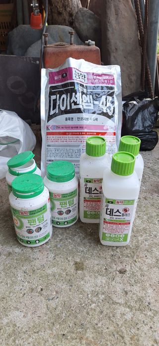박수천님의 기타작물 · 영농일지 작성글 사진