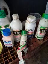 팜모닝 기타작물·영농일지 게시글 이미지