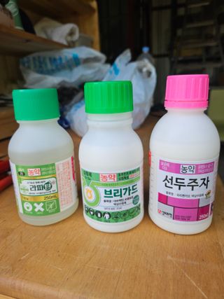 조영민님의 포도 · 영농일지 작성글 사진