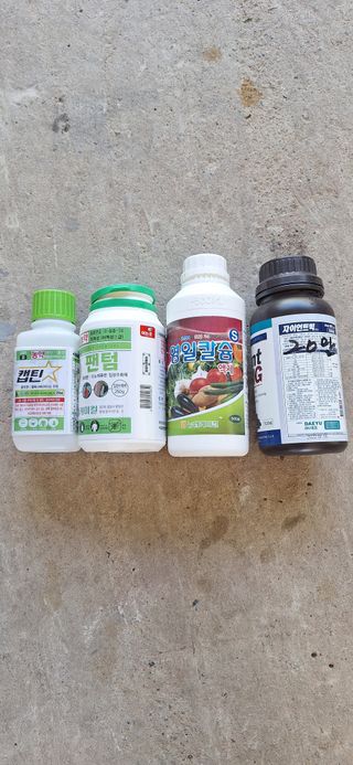 박수천님의 기타작물 · 영농일지 작성글 사진