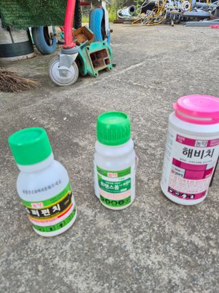 더 드림 농원님의 포도 · 영농일지 작성글 사진