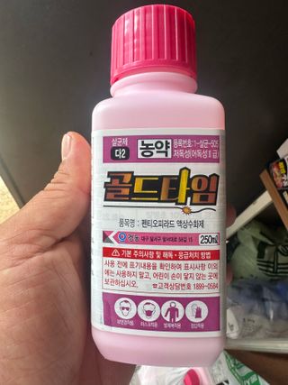 임영택님의 작성글 사진
