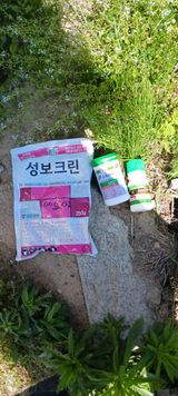 팜모닝 기타작물·영농일지 게시글 이미지