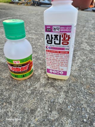 더 드림 농원님의 포도 · 영농일지 작성글 사진