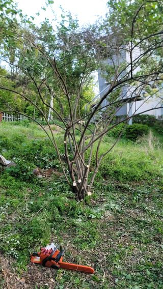 서초농원님의 기타작물 · 영농일지 작성글 사진
