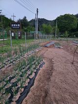 기진성님의 작성글 사진