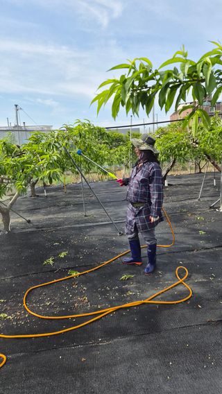 김인하님의 작성글 사진