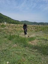 반봉현님의 작성글 사진