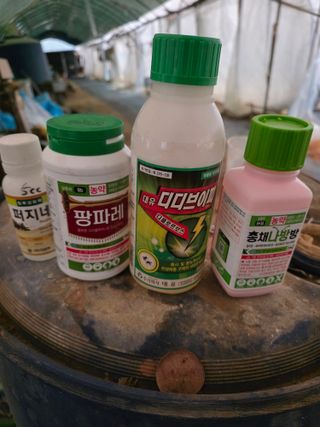 이선기님의 기타작물 · 영농일지 작성글 사진