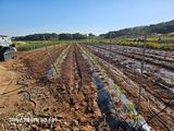 유명숙님의 작성글 사진