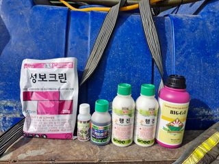 성은모님의 기타작물 · 영농일지 작성글 사진