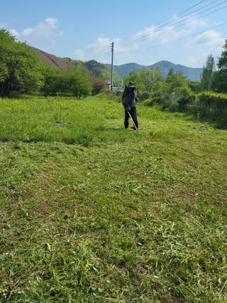 반봉현님의 매실 · 영농일지 작성글 사진