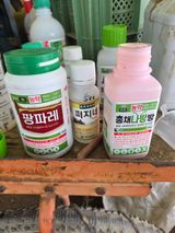 팜모닝 기타작물·영농일지 게시글 이미지