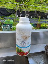 팜모닝 기타작물·영농일지 게시글 이미지