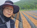 심기정님의 작성글 사진