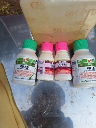 산꼭대기사과밭님의 기타작물 · 영농일지 작성글 사진