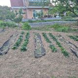 죽촌님의 작성글 사진