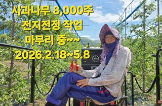 축복의땅 에덴동산님의 사과 · 영농일지 작성글 사진