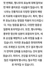(팽나무*공주)님의 작성글 사진