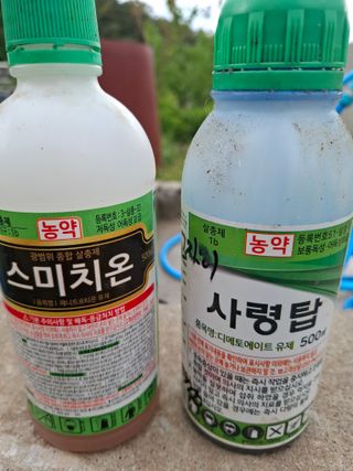 주재필님의 파 · 영농일지 작성글 사진