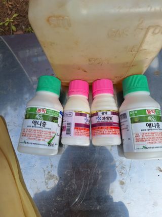 산꼭대기사과밭님의 기타작물 · 영농일지 작성글 사진