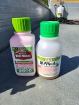 팜모닝 기타작물·영농일지 게시글 이미지
