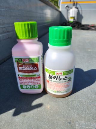 제2의인생출발님의 기타작물 · 영농일지 작성글 사진